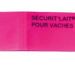 bracelet securit