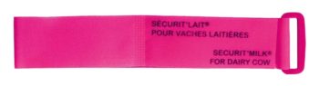 bracelet securit