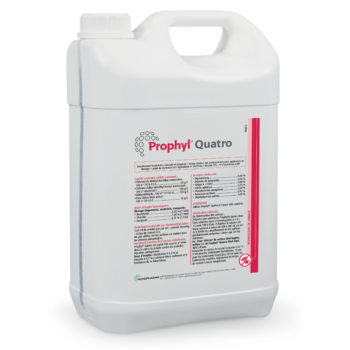 prophyl quatro