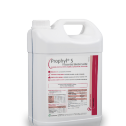 prophyl 5l